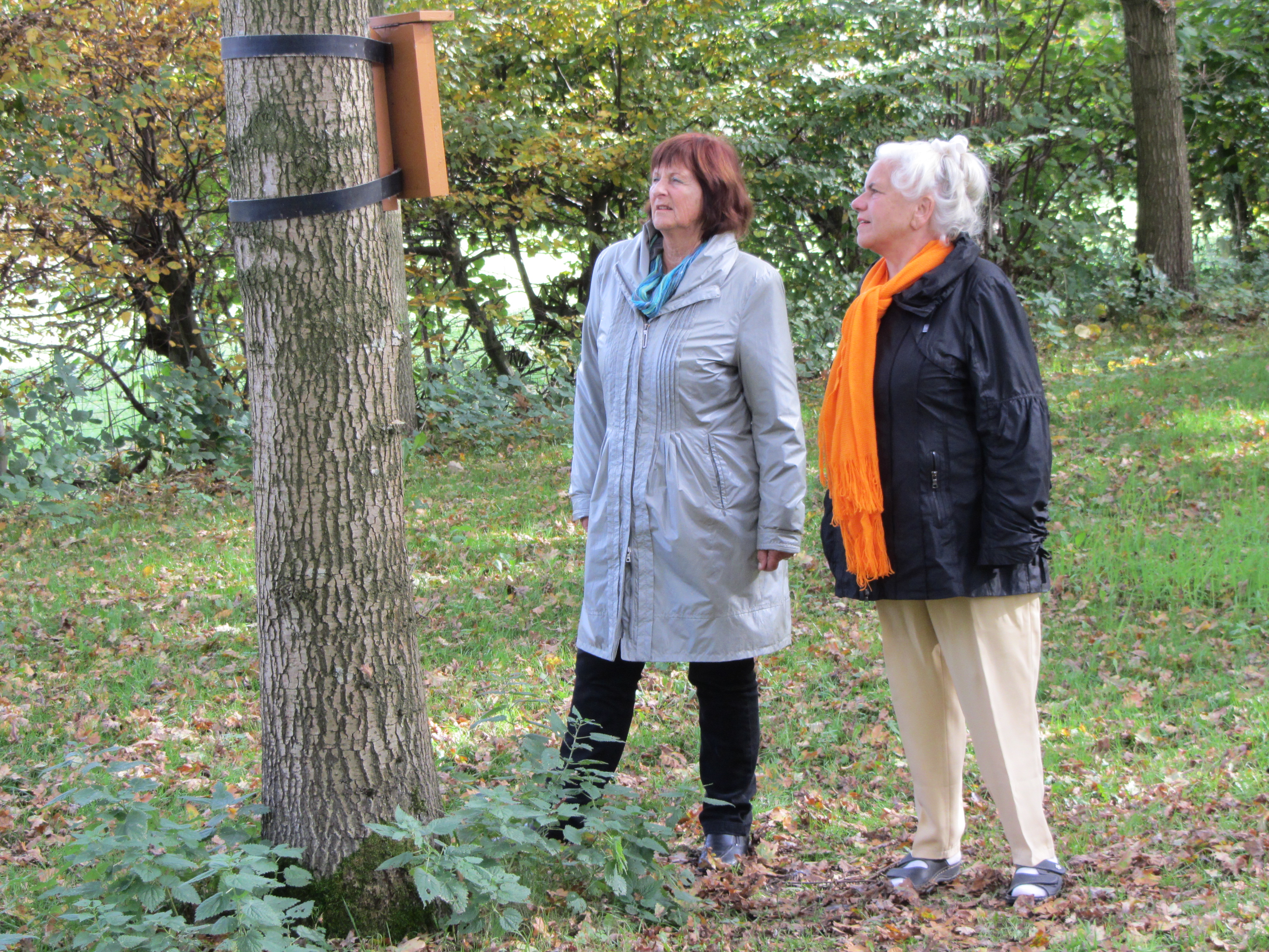 Ipad Marianne 091.JPG